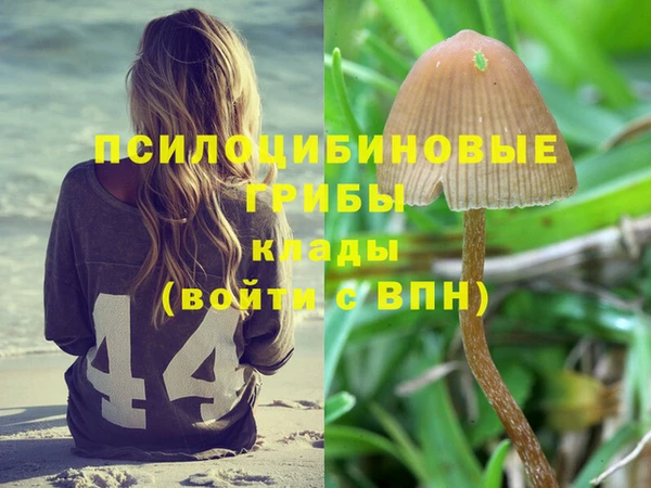 ГАЛЛЮЦИНОГЕННЫЕ ГРИБЫ Волоколамск