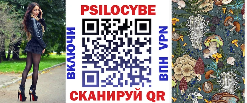 где купить наркотик  Жердевка  Галлюциногенные грибы Psilocybe 