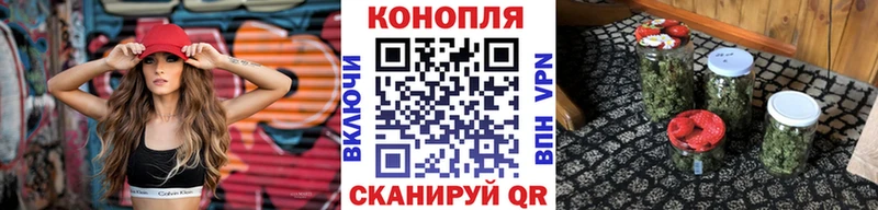 как найти закладки  Жердевка  Каннабис индика 
